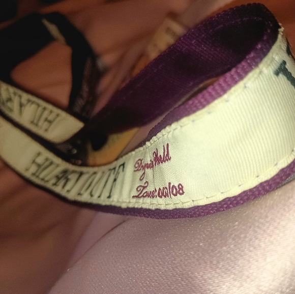 Hilary Duff 2007 Dignity World Tour - Picture 5 of 8